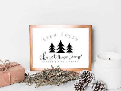 Farm fresh Christmas Trees